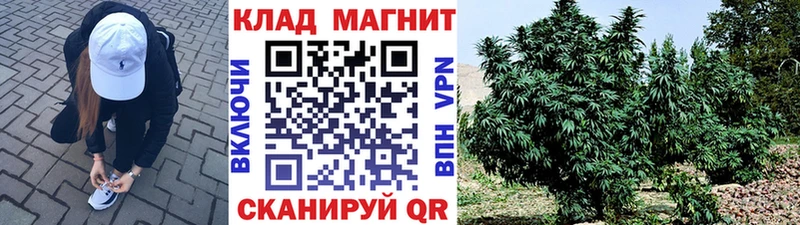 Наркошоп купить Марихуана  ГЕРОИН  Гашиш  МЕФ  КОКАИН  LSD-25  СК  Кораблино