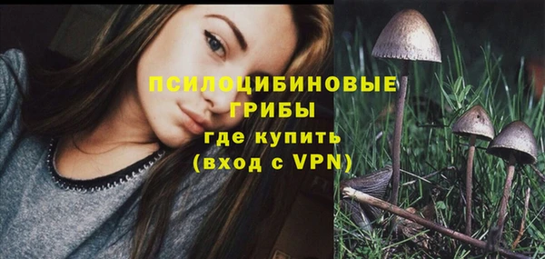 тгк Белокуриха
