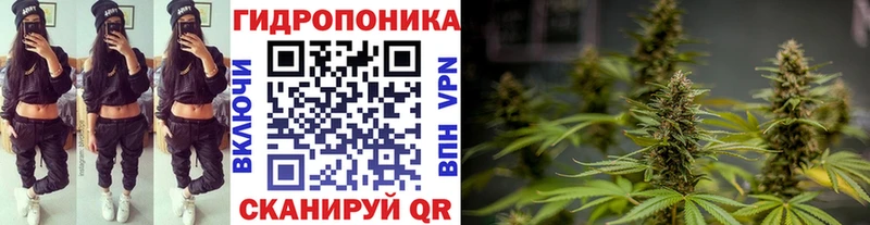 Купить где  Кораблино  Каннабис MAZAR 